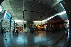 Museum Lobby